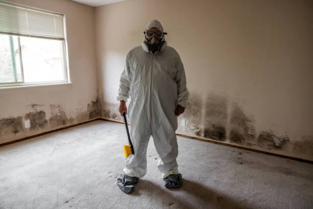 Best Industrial Mold Remediation  in Worthgton, IN